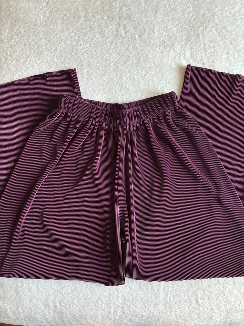 Vintage Express Wide-Leg Pleated Pants in Plum